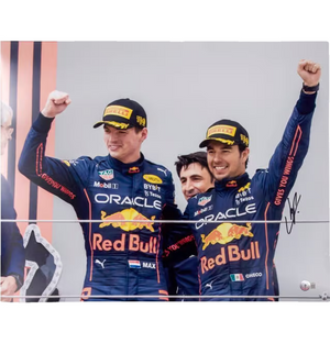 Descriptive image text