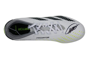 Descriptive image text