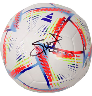 Descriptive image text