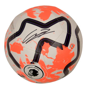 Descriptive image text