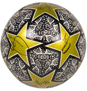 Descriptive image text