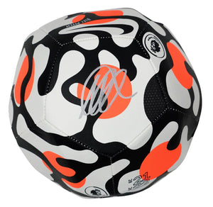 Descriptive image text