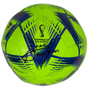 Descriptive image text