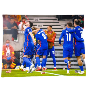 Descriptive image text