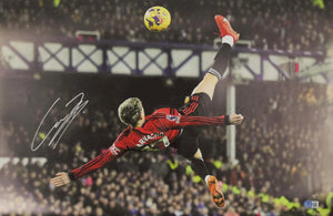 Descriptive image text