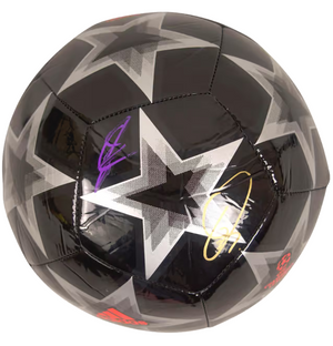 Descriptive image text