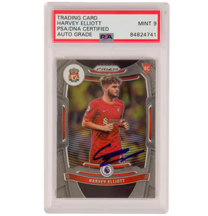 Descriptive image text