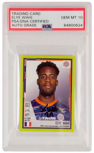 Descriptive image text