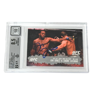 Descriptive image text