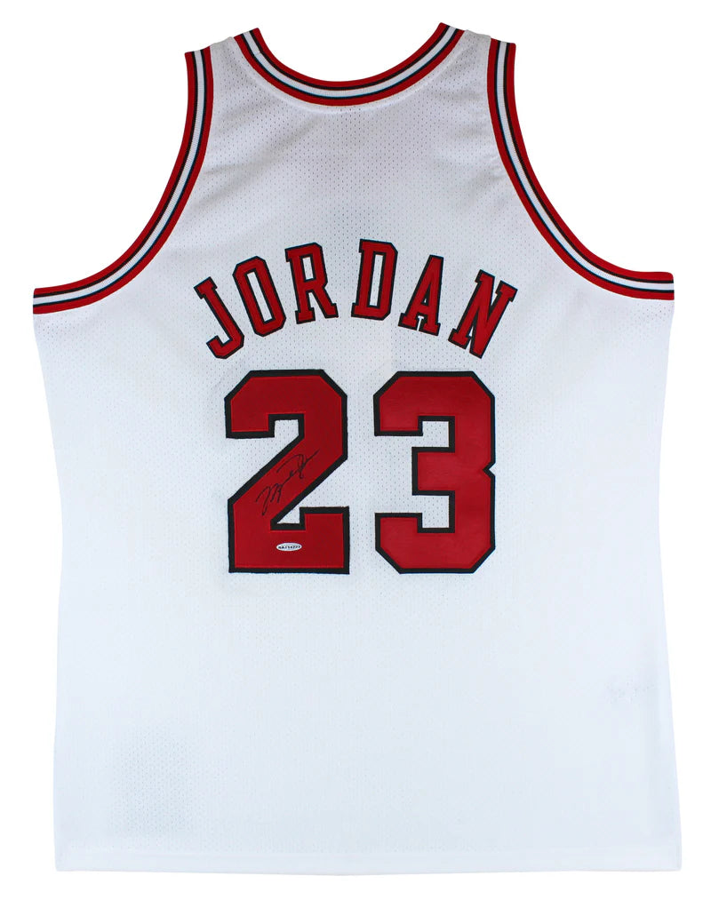 Bulls Michael Jordan Signed William Zavala Hand Painted M&N Framed Jersey UDA