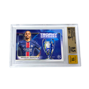 Descriptive image text